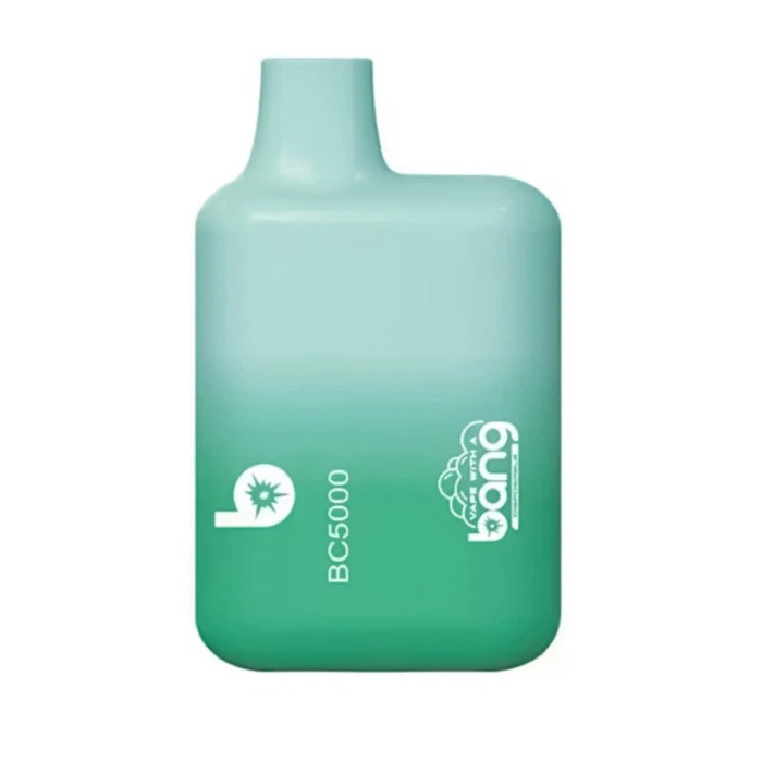 Bang Bc 5000 Puffs Disposable Vape factory