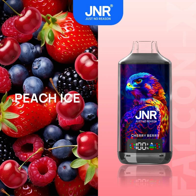 JNR Falcon X 18000puff Puff Vape factory