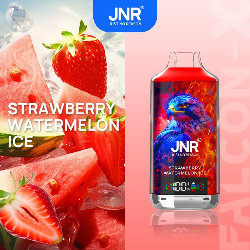 JNR Falcon X 18000puff Puff Vape price