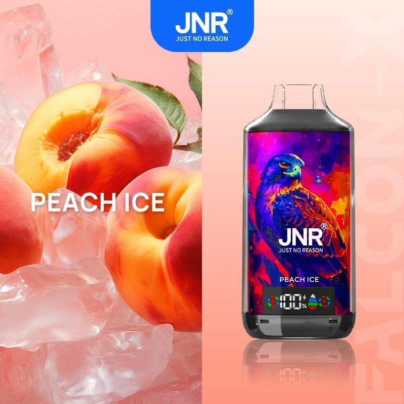 JNR Falcon X 18000puff Puff Vape price